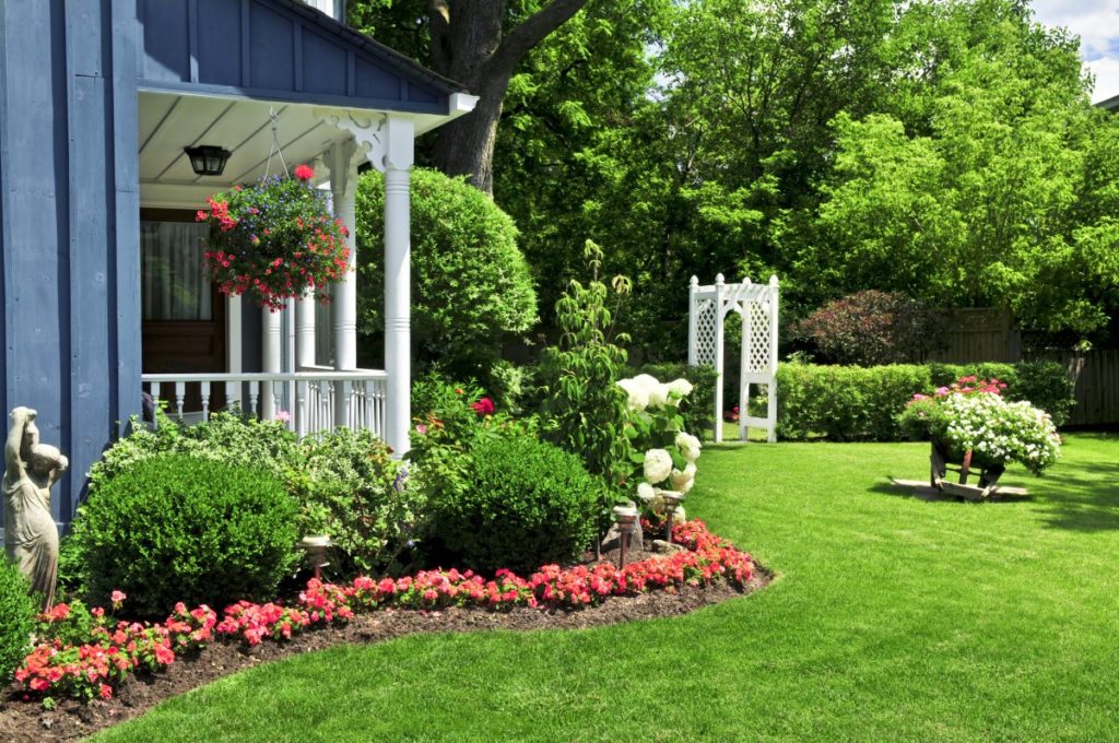 Making Landscaping Decisions as You Create the Perfect Yard