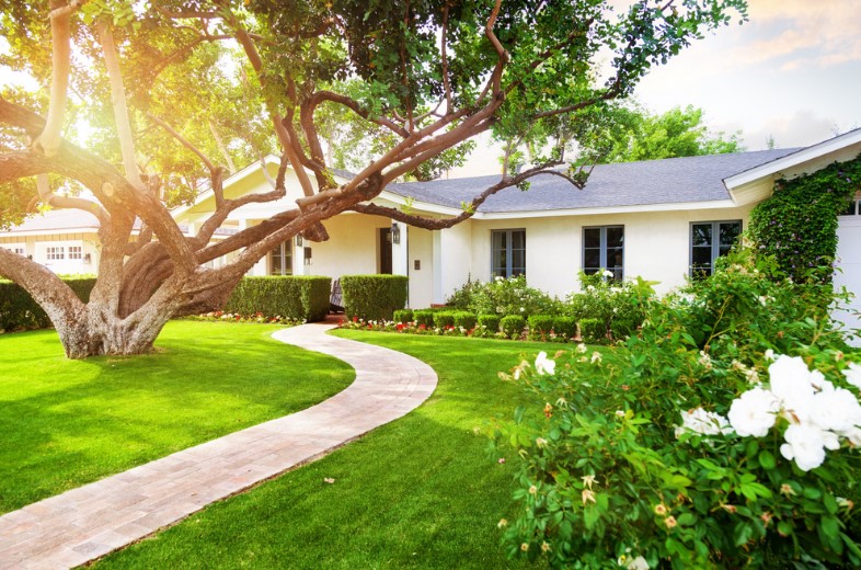 3 Benefits a Landscape Architect Can Provide You