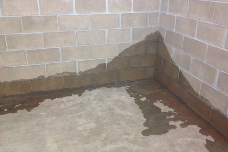 How to Identify a Basement Water Leak