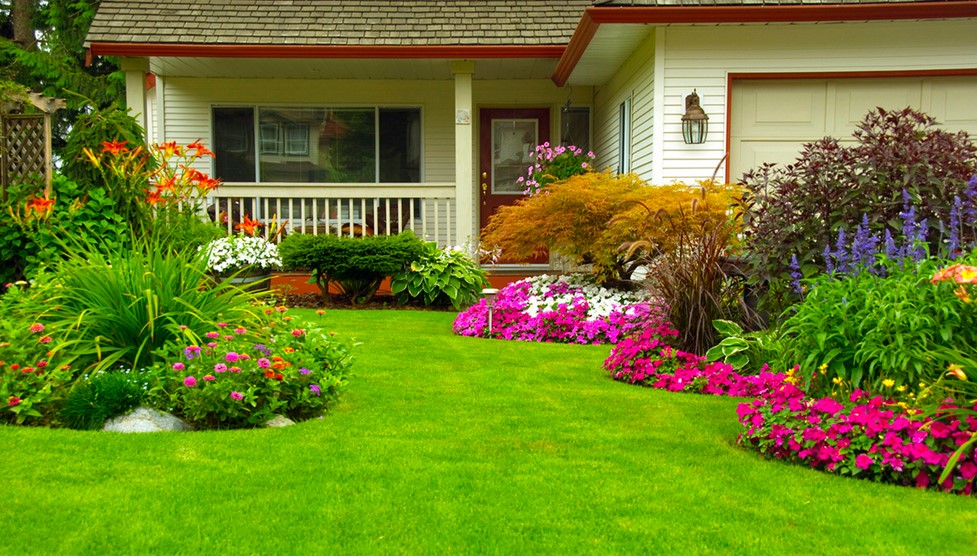 Top Tips For a Lush Green Lawn All Year Round